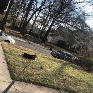 Meet your Posher, Darrell